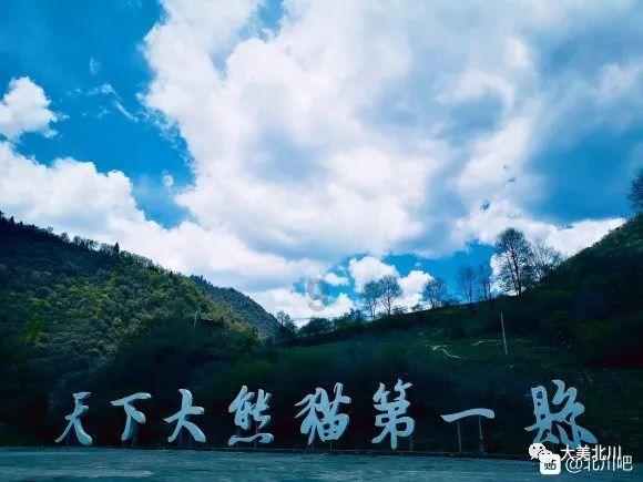 深入解析面对疫情,可以通过哪些方面囤“好身体”?——知识星球平台